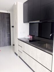 The Rise @ Oxley (D9), Condominium #577825271